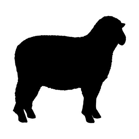 Sheep Iron on Decal